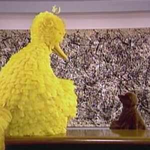 Jackson Pollock Muppet Wiki Fandom