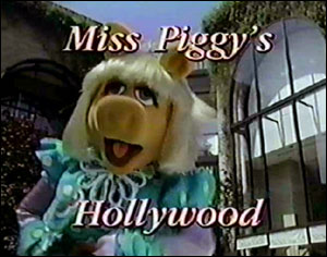 Title.piggyhollywood