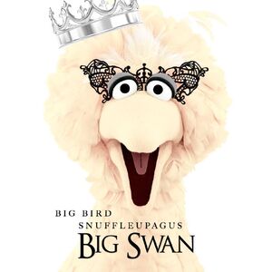 Big swan