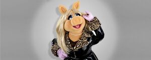 Piggy-ABCbio