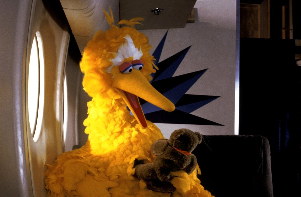 big bird teddy