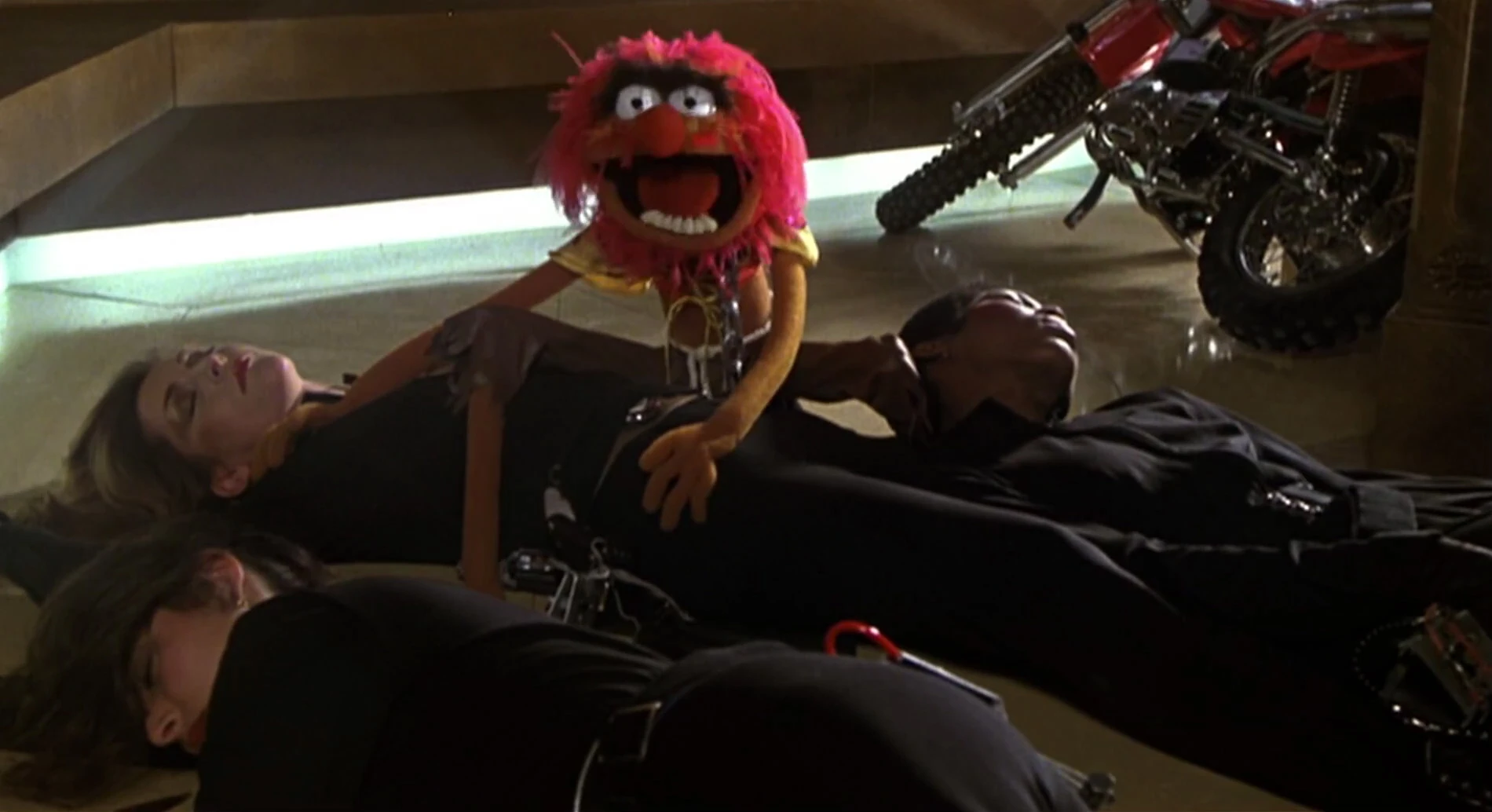 Woman! Woman! Woman! | Muppet Wiki | FANDOM powered by Wikia