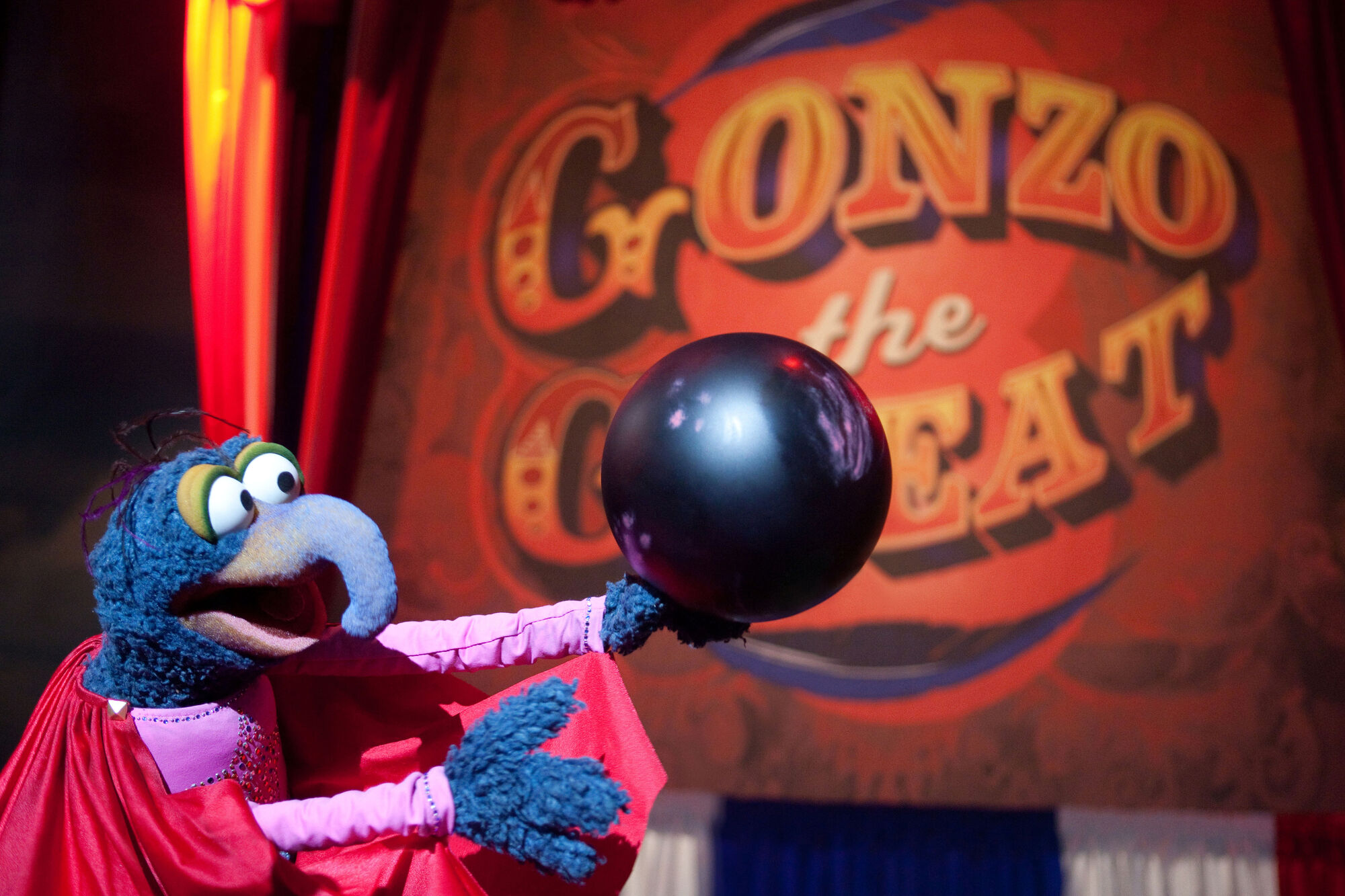 Image - The Great Gonzo.jpg | Muppet Wiki | FANDOM powered by Wikia