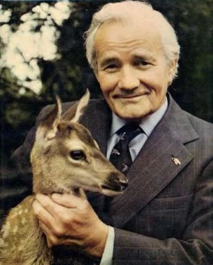 Percy Edwards Muppet Wiki FANDOM powered by Wikia