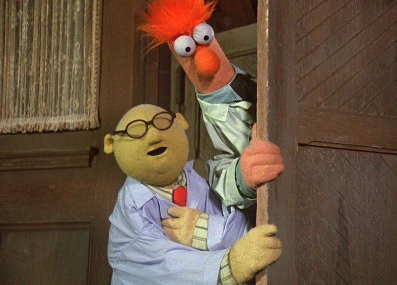 Dr. Bunsen Honeydew Muppet Wiki FANDOM powered by Wikia