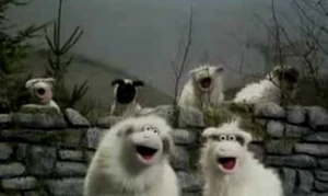 See the source image