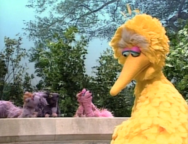 Big Bird Doesn't Fly | Muppet Wiki | FANDOM powered by Wikia