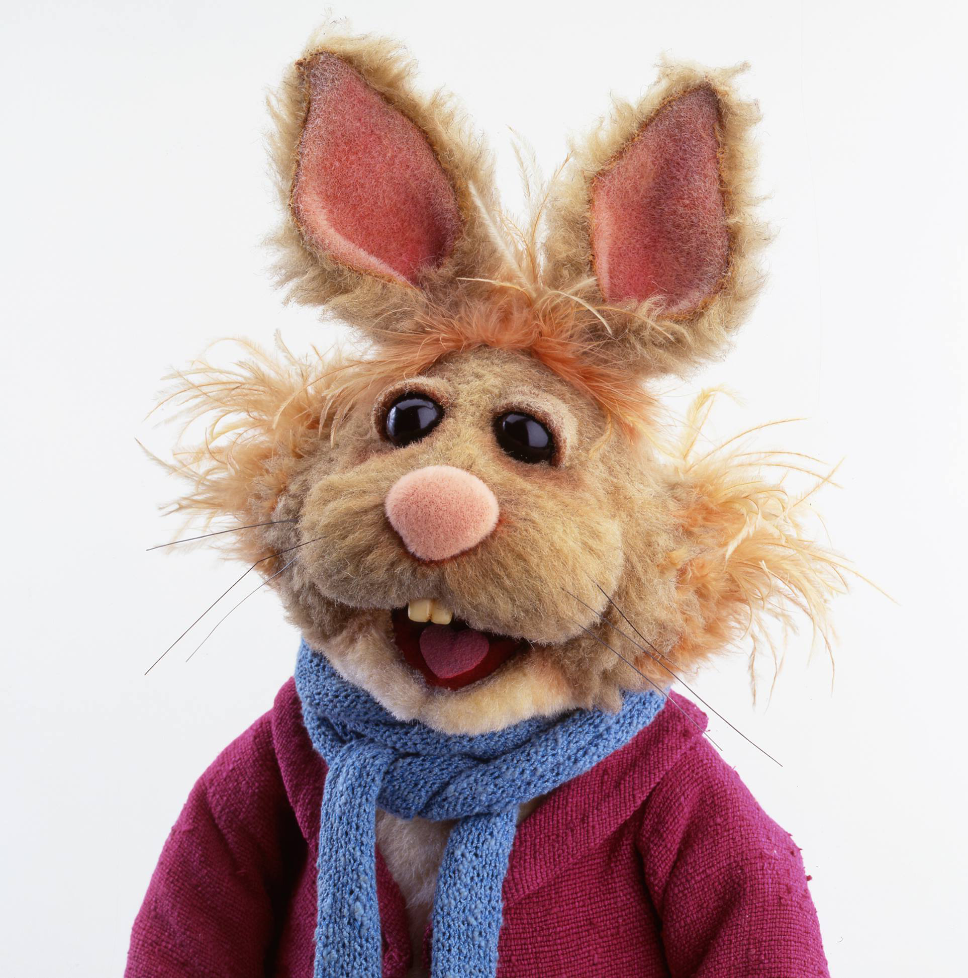 Bean Bunny | Muppet Wiki | FANDOM powered by Wikia