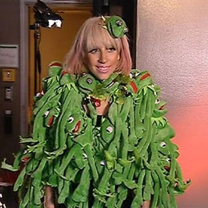 Lady Gaga Muppet Wiki Fandom