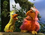 Poco Loco | Muppet Wiki | FANDOM powered by Wikia