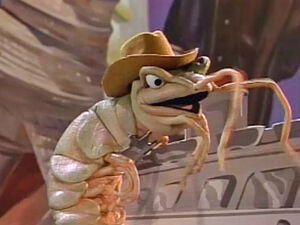 Shrimp!