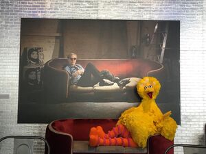 Bird warhol