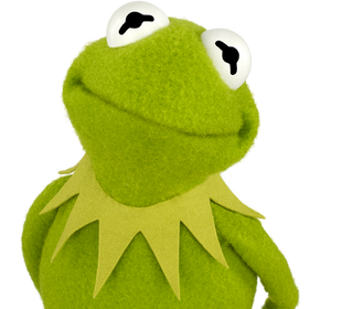 Kermit Żaba | Muppety Wiki | FANDOM powered by Wikia