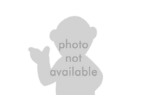 Photo-not-available