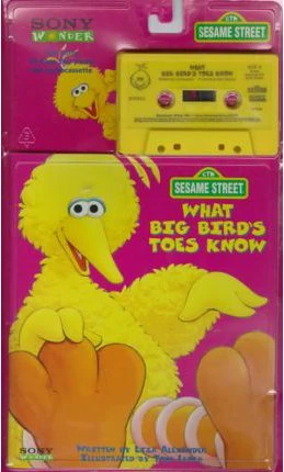 big bird shoes