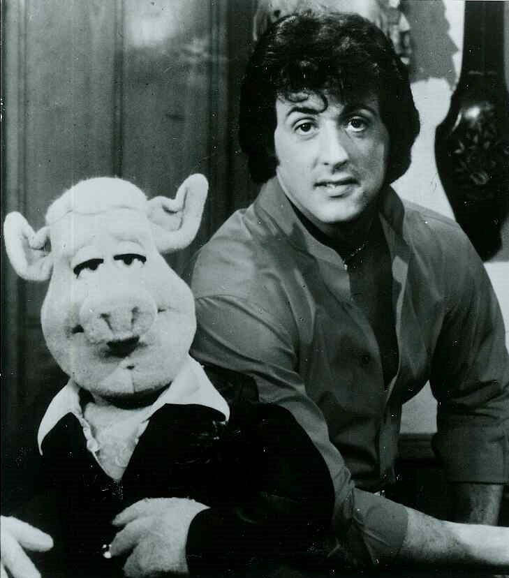 Sylvester Stallone Muppet Wiki Fandom Powered By Wikia