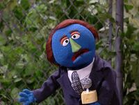 muppet voiced muppets celebrities chris berman sesame street
