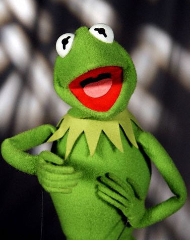 Kermit The Frog Muppet Wiki Fandom Powered By Wikia