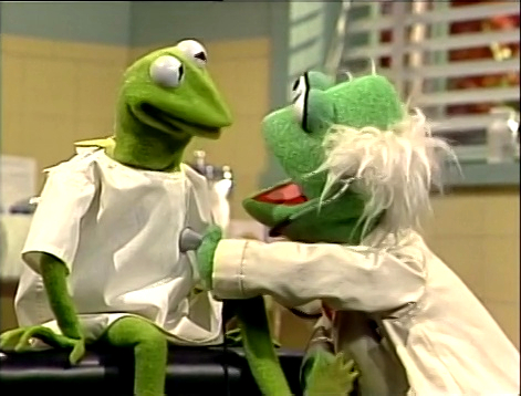 Heart Of A Frog Muppet Wiki Fandom Ed By Wikia Theheartofafrog