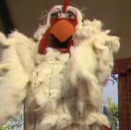 Giant chicken muppet