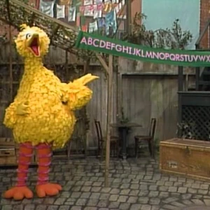 Big Bird Songs Muppet Wiki Fandom