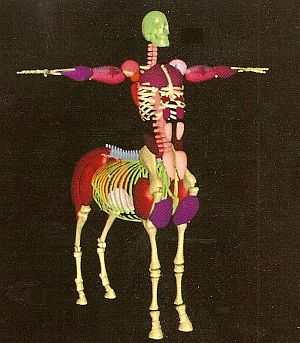 Lionwardrobe-centaur
