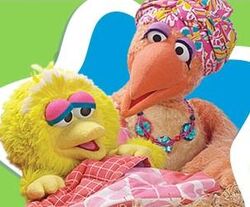 Big Bird Through The Years Muppet Wiki Fandom Big Bird Through The Years Muppet Wiki Fandom