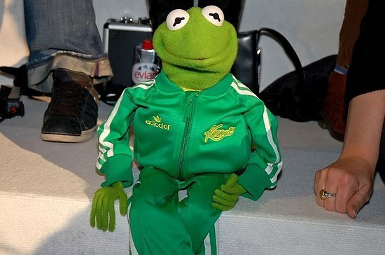 adidas kermit jacket