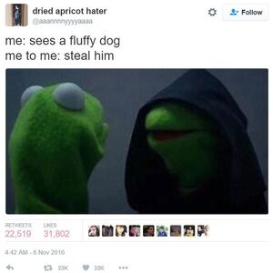 Kermit The Frog Memes Muppet Wiki Fandom