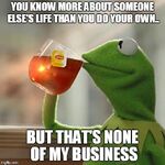 Kermit The Frog Memes Muppet Wiki Fandom