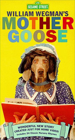 Video.wegman-goose