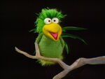 ForcryingoutloudBird