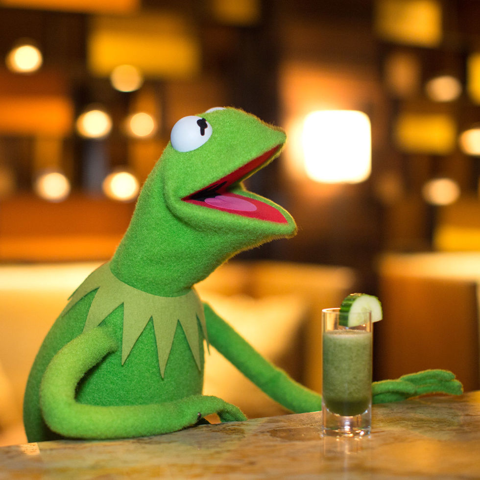 Image result for kermit and piggy drinking