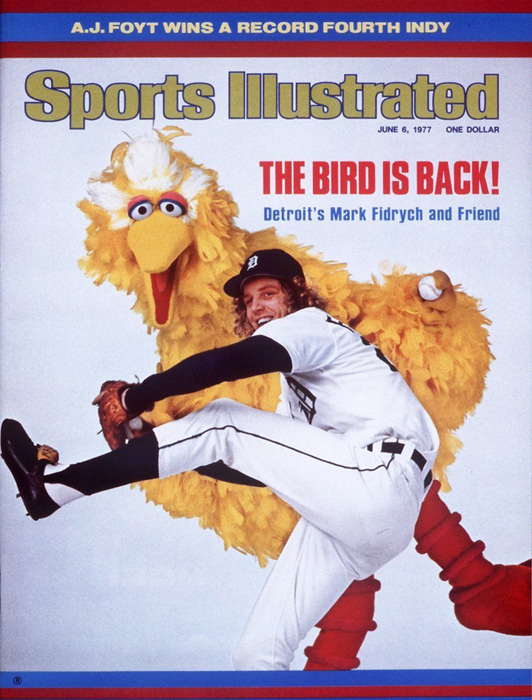 Image result for mark fidrych big bird