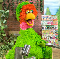 christine h mcconnell wiki parrots muppet wiki fandom powered by wikia christine h mcconnell wiki parrots muppet wiki fandom powered by wikia