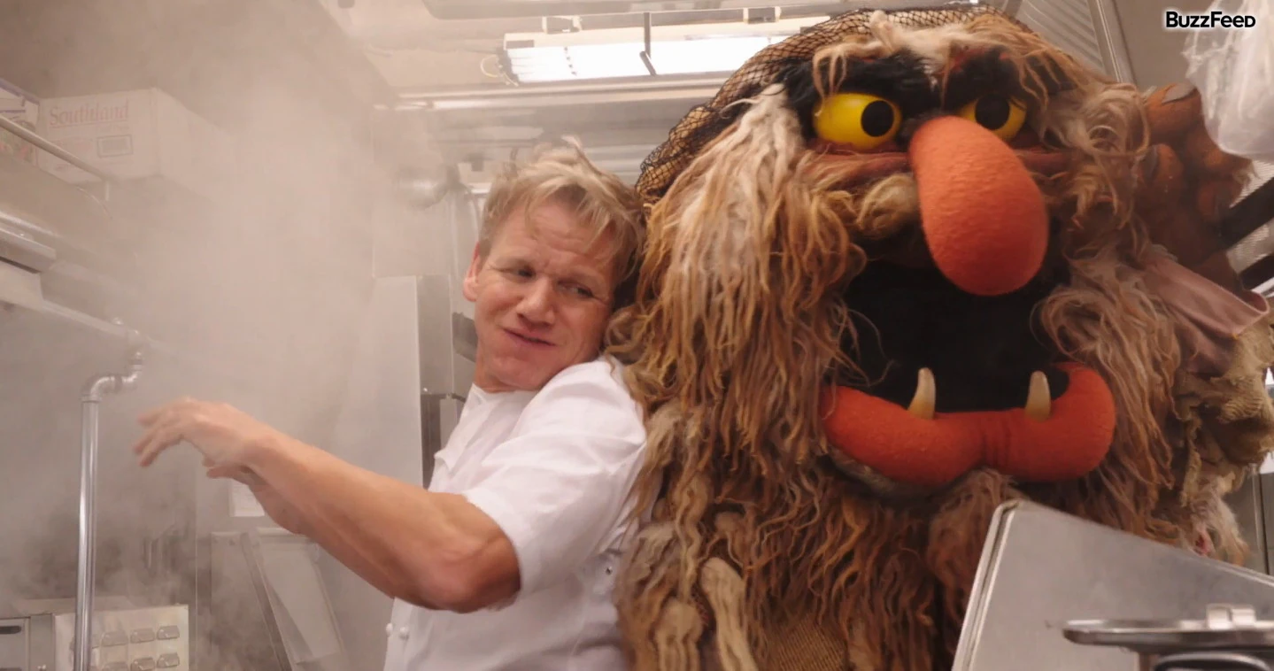 Gordon Ramsay Muppet Wiki Fandom