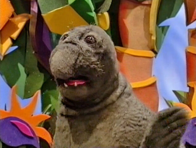 File:Monty the Elephant Seal.jpg