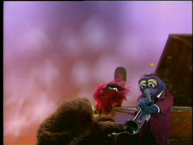 File:GonzoTrumpetSolo.jpg