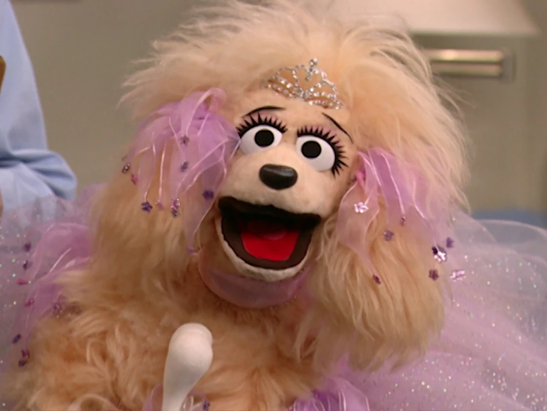 Furry Godmother Muppet Wiki FANDOM powered by Wikia
