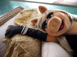 Qvc piggy pose