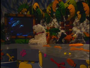 Animalshow303-1