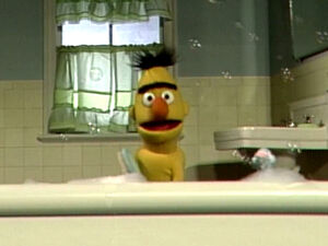 BertTakesBath