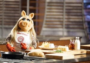 Piggy masterchef 1
