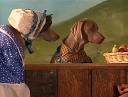 Episode 3697 | Muppet Wiki | FANDOM powered by Wikia