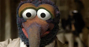 GonzoShocked