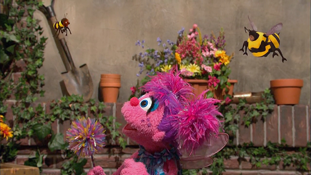 Episode 4286 | Muppet Wiki | FANDOM powered by Wikia