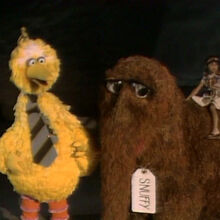 Bitte Nicht Die Bilder Essen Muppet Wiki Fandom