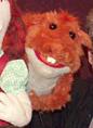 PU-Squirrel