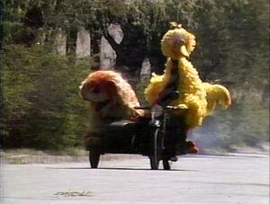 BBChina-Cycle