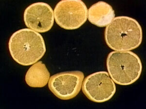 Oranges!!